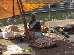Marktfrau in Maharashtra