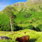 Eine Schottland Busrundreise mit Gleichgesinnten erleben