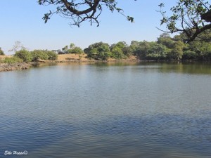 blau schimmernder See