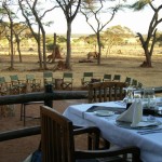 Unsere Tansania Safari
