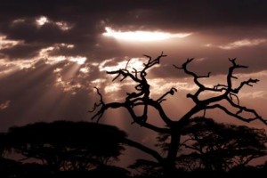 Sonnenuntergang im Ngorongoro Nationalpark