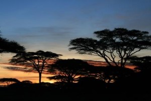 Unsere Tansania und Sansibar Reise