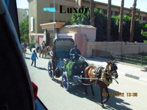 Pferdewagen in Luxor