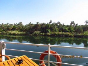 Vegetation am Nil