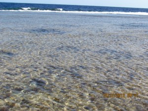 Glasklares Wasser am Ufer des Roten Meeres