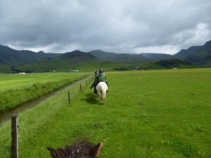 Reiten auf Islandpferden