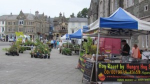 Tavistock Dartmoor