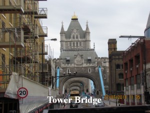 IMG_8208