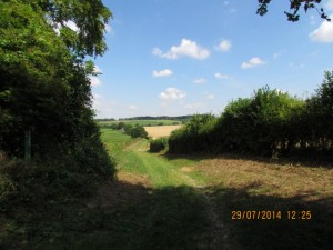 South Downs National Park