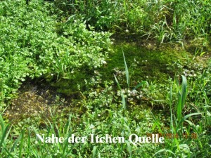 Nahe der Itchen Quelle