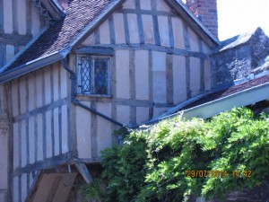 IMG_8785