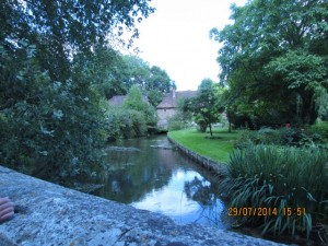 IMG_8807