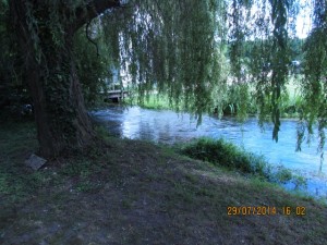 IMG_8813