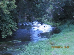 IMG_8815