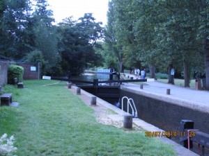 IMG_8877