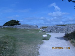 IMG_8961