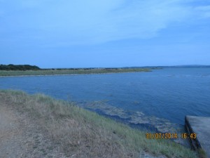 Lymington Nature Reserve
