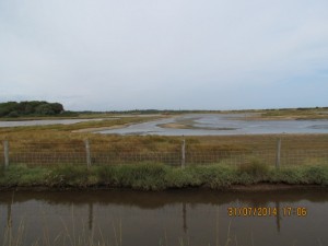 IMG_9050