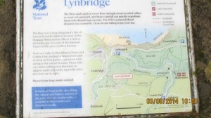 Lynbridge Info