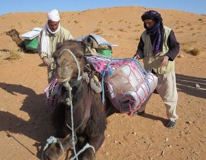  Kamele tragen unser ganzes Gepäck
