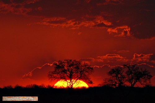 Dramatischer Sonnenuntergang in Simbabwes Hwange Nationalpark