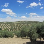Ein Wochenende in Jaén und Medina Azahara bei Cordoba