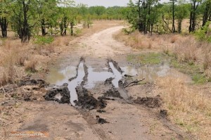 Auch in scheinbar kleinen Pfuetzen kann man sich festfahren!