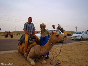 Kamelritt in der Thar-Wüste