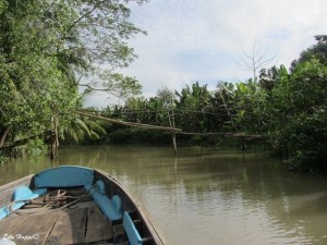 eine sogenannte "Affenbrücke"