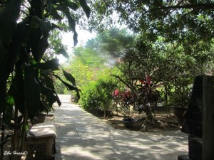 die Einfahrt zu unserem Homestay auf An Binh