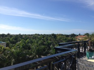 Blick über die Terrasse