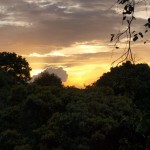 Trekking-Erlebnis im Amazonas Regenwald von Brasilien