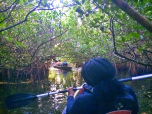 Kanutour in den Everglades