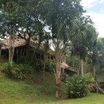 eco lodge palmari