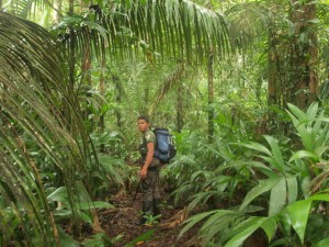 Mit dem Reiseführer im Regenwald von Brasilien
