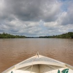 rio javari