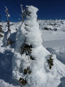 drunter steckt ein Baum, die Kanadier nennen das dann "snow ghost"