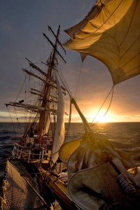Die Segeltörn Expeditionen mit der Bark Europa