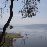 Afrika kann man riechen! Unterwegs im Rift Valley