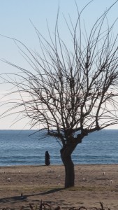 Seltener Anblick : Muslima am Strand