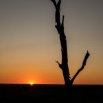 Hwange National Park Sonnenaufgang