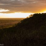 Simbabwe selbst er-fahren– Hwange National Park