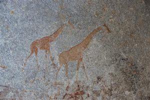 Giraffen-Felsmalereien in Nswatugi Cave in den Matobo Hills