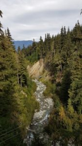 Whistler Zipline