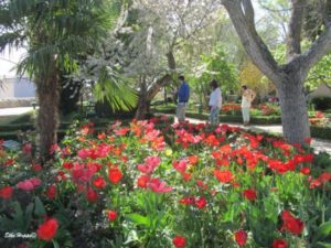 der Garten "Huerto Calixto und Malibea"