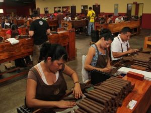 Zigarrenfabrik in der Dominikanischen Republik