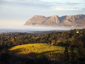 Tafelberg Südafrika Singlereisen