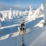 Auf Reisen als Single nach Schwedisch Lappland