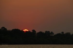 Sonnenuntergang auf dem Sambesi-Fluss