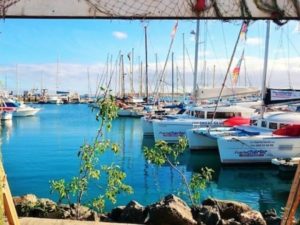 Single Urlaub Fuerteventura Corralejo Hafen